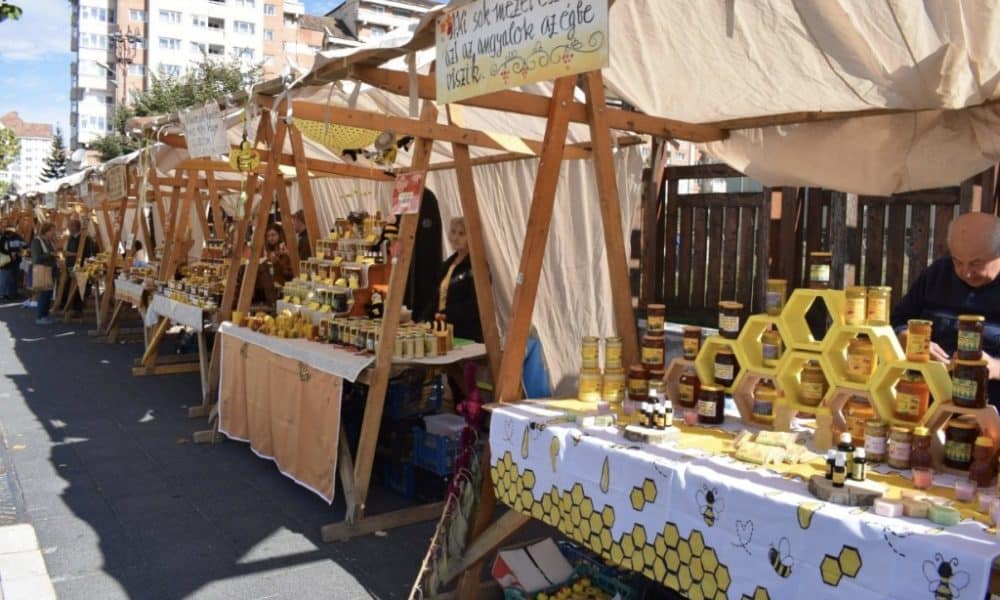 Atelierul Micilor Cofetari revine la Târgul „Gustul Copilăriei” din curtea Ministerului Agriculturii cu sprijinul „Cozonac Domnesc”